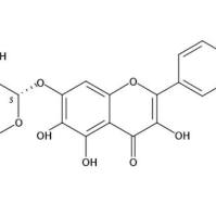 槲皮万寿菊苷548-75-4