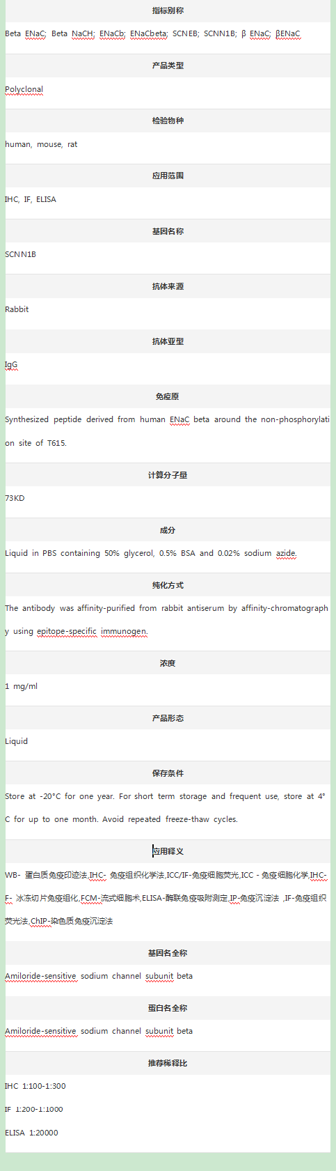 Anti-ENaC beta/SCNN1B Antibody