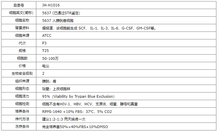 【STR鉴定】5637、5637细胞、5637膀胱癌细胞