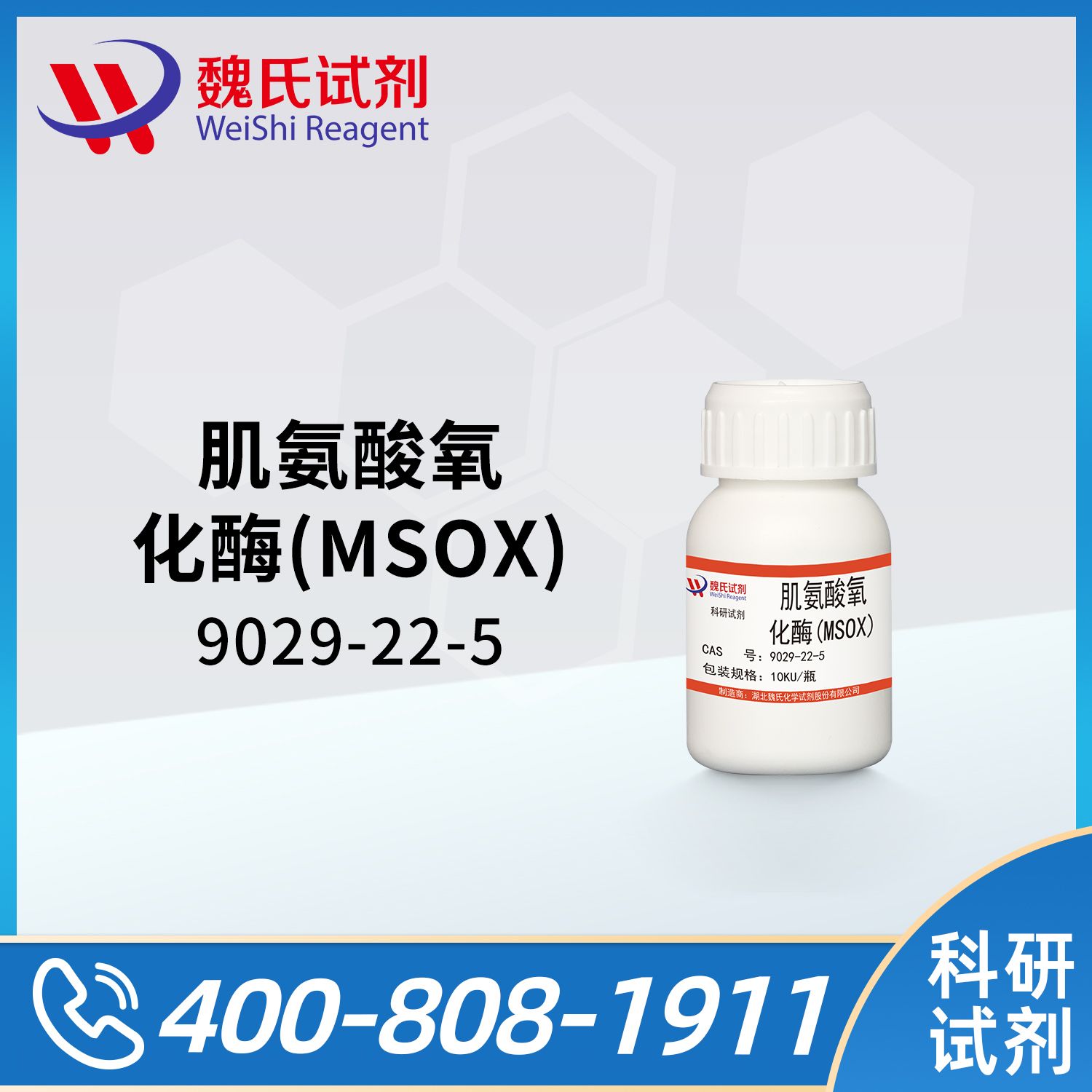 9029-22-5/肌氨酸氧化酶(MSOX)/SARCOSINE OXIDASE