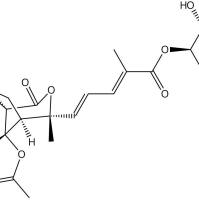 土荆皮甲酸苷98891-44-2