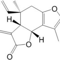 异乌药内酯957-66-4
