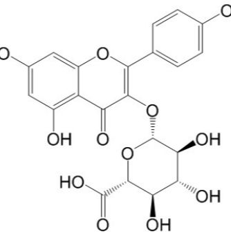 山柰酚-3-O-β-D-葡萄糖醛酸苷22688-78-4