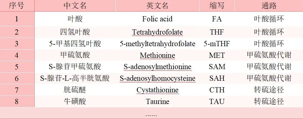 BIOTREE新品发布 | 全面聚焦，探索一碳代谢新可能