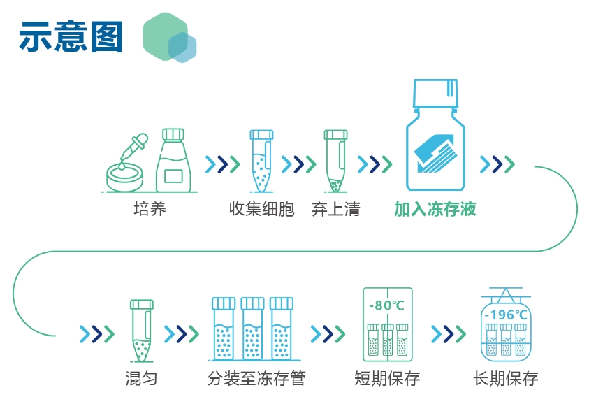 产品细节图片2