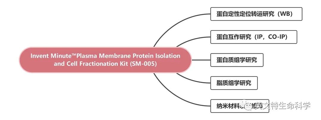 膜蛋白研究“宝藏级”分离工具应用全方案