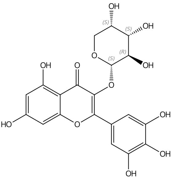 杨梅素-3-α-L-吡喃阿拉伯糖甙132679-85-7