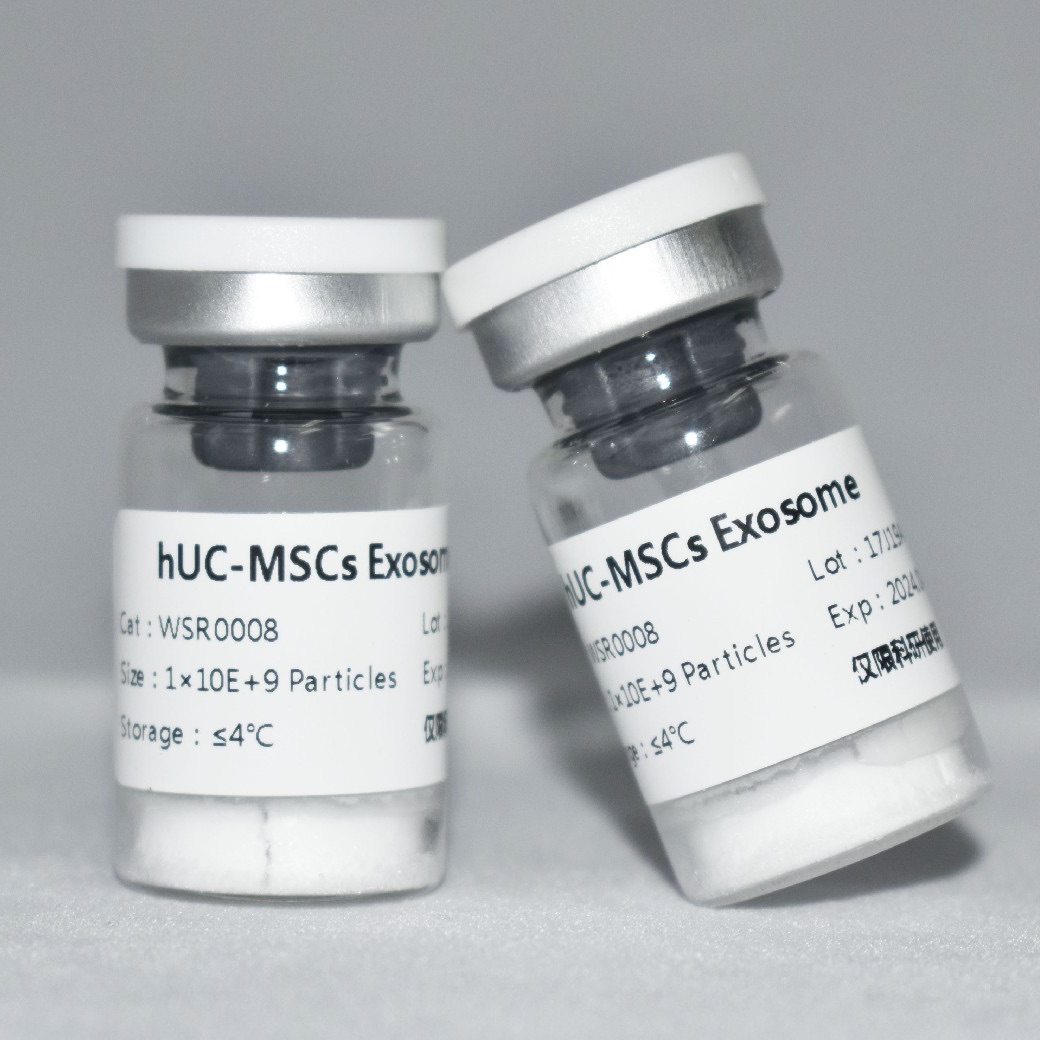 hUC-MSCs Exosome
