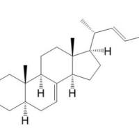 α-菠菜甾醇481-18-5