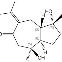 蓬莪二醇98644-24-7