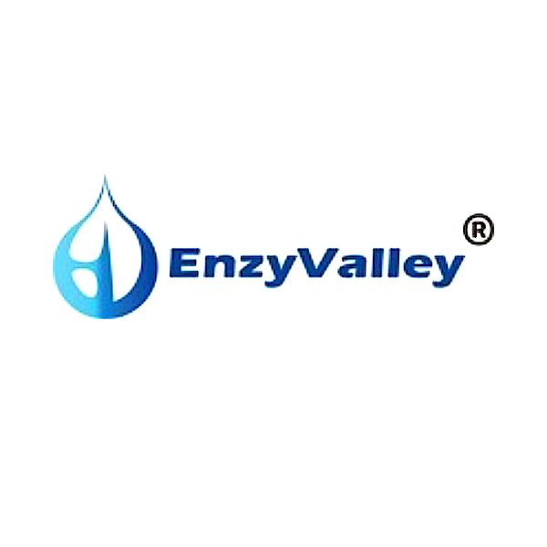 猪瘟检测试剂 ASFV qPCR Mix