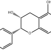 表阿夫儿茶精24808-04-6