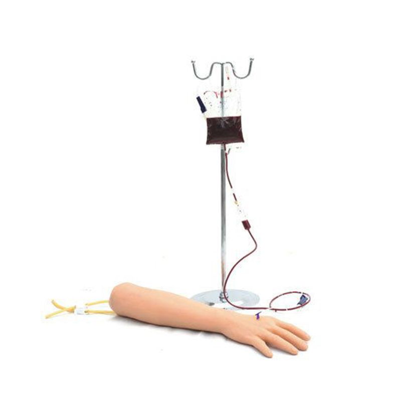 艾米立 手臂静脉穿刺训练模型 IMY3053
