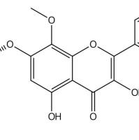 柠檬黄素 7-O-β-D-葡萄糖苷119628-58-9