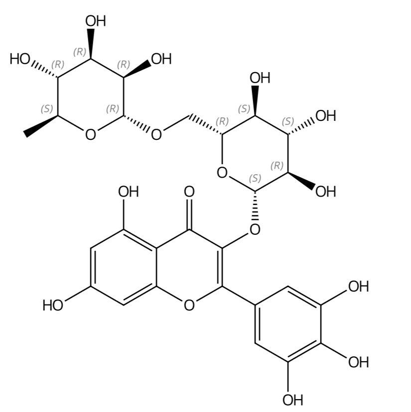 杨梅素-3-芸香糖苷41093-68-9