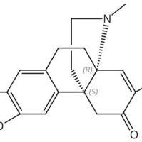 8-Demethoxycephatonine1457991-80-8
