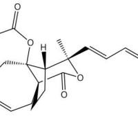 土荆皮乙酸甲酯82508-34-7