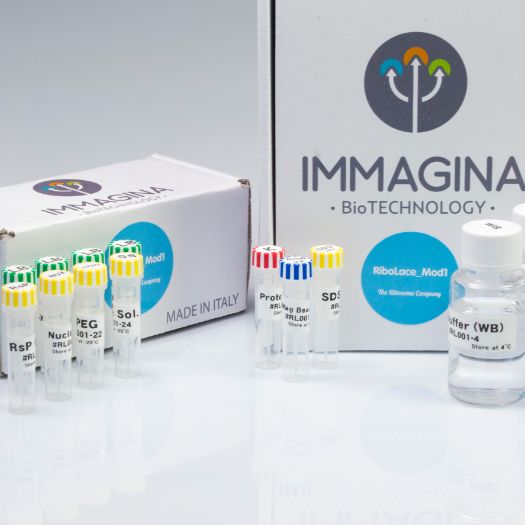 核糖体分析试剂盒Ribolace 360 TE Gel Free