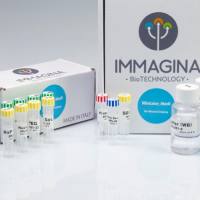 核糖体分析试剂盒PAGExt