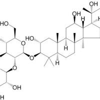 绞股蓝皂苷LI94987-10-7