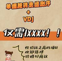 单细胞转录组测序+VDJ(10X)