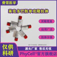 莱克多巴胺单克隆抗体,RAC抗体，莱克多巴胺抗体