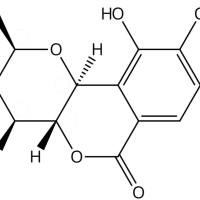 去甲岩白菜素79595-97-4