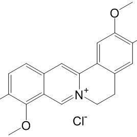 盐酸药根碱6681-15-8