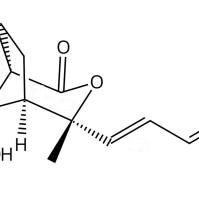 去乙酰基土荆皮甲酸82508-37-0