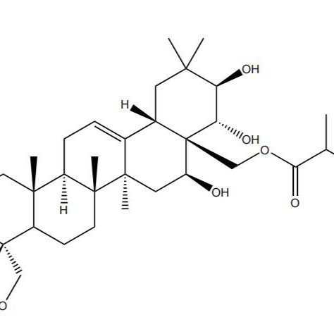 28-O-2S-甲基丁酰基匙羹藤新苷元新化合物