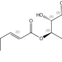 3-O-对香豆酰基奎宁酸5746-55-4