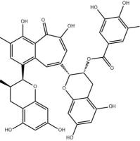 茶黄素-3-没食子酸酯30462-34-1