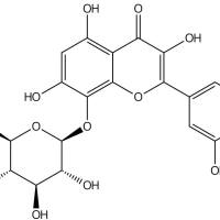 黄蜀葵花苷 C1403981-95-2
