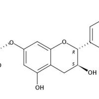 儿茶素-7-O-β-D-吡喃葡萄糖苷65597-47-9