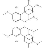 双青藤碱596-58-7