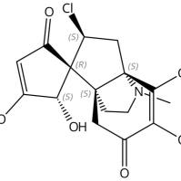 尖防己碱17088-50-5