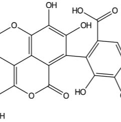 Flavogallonic acid dilactone103744-88-3