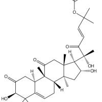 3-表-异葫芦素 B89647-62-1