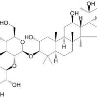 绞股蓝皂苷L94987-09-4