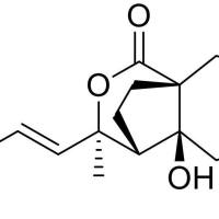 脱甲氧基脱乙酰土荆皮乙酸82508-36-9