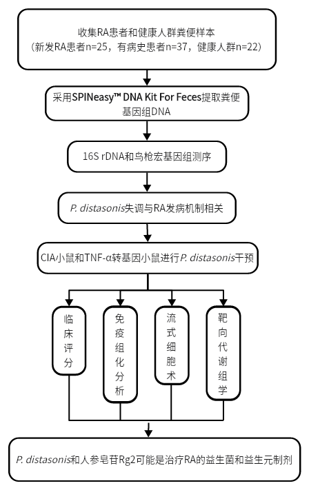 高分文献 | 肠道共生狄氏副拟杆菌或可减轻炎症性关节炎？