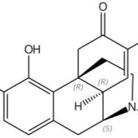 14-Episinomenin60761-53-7