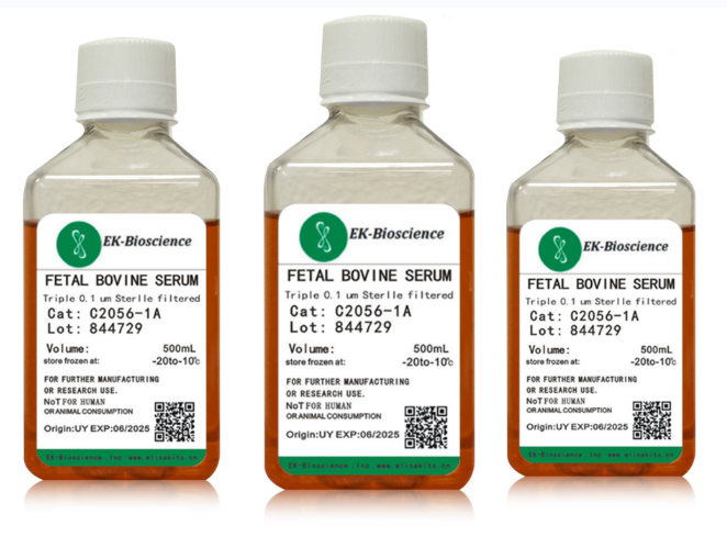 【STR鉴定】95-D、95-D细胞、95-D高转移肺癌细胞