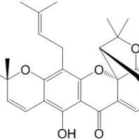 表藤黄酸887606-04-4
