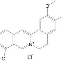 盐酸表小檗碱889665-86-5