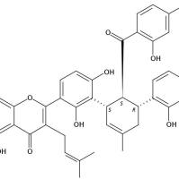 桑黄酮K88524-66-7