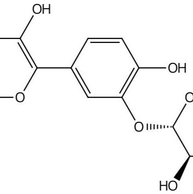 槲皮素-3'-O-β-D-葡萄糖苷19254-30-9