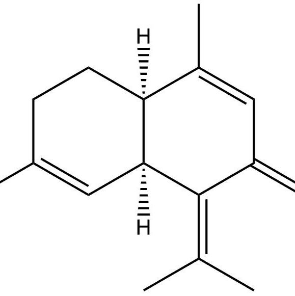 Comosone II
