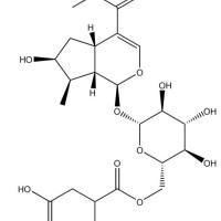 Logmalicids C新化合物