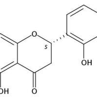草大戟素56486-94-3
